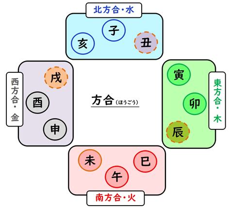 巳酉丑三合|干合・支合・三合（半会）・方合